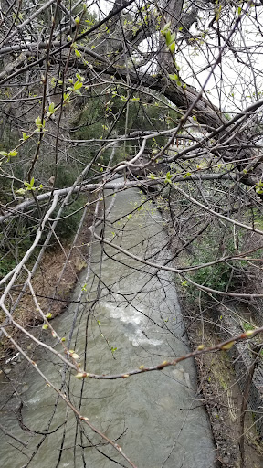 Sterling Barnhart Park 20250727 113325 020