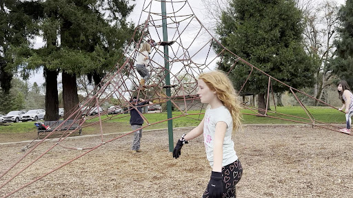 Stewart Park Playground 20250727 070144 015
