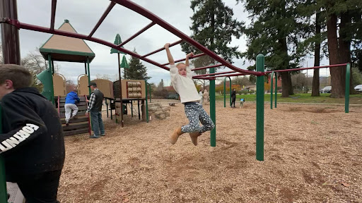 Stewart Park Playground 20250727 070144 016