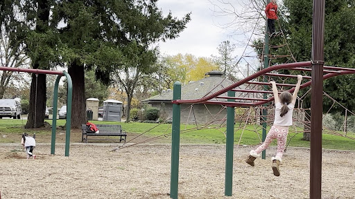 Stewart Park Playground 20250727 070145 017