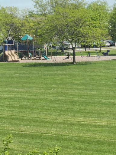 Still Park 20250727 120120 001