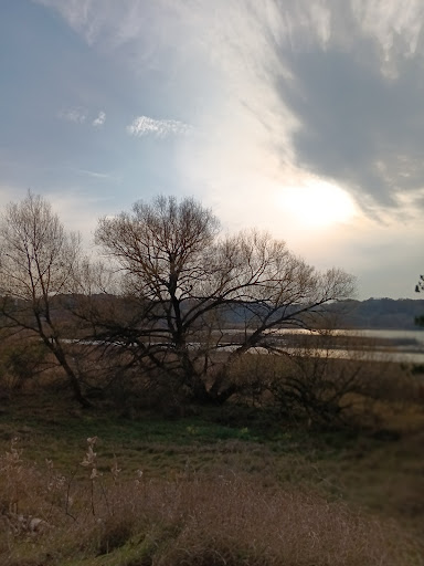 Stronach township park 20250727 074744 015