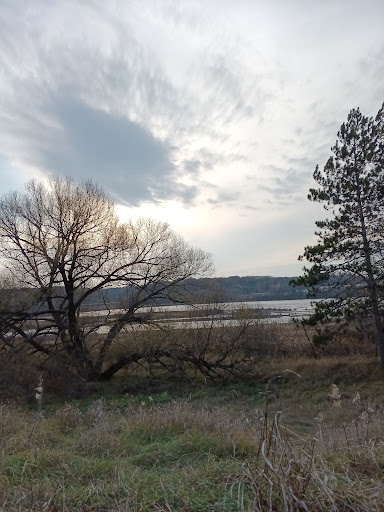 Stronach township park 20250727 074745 016