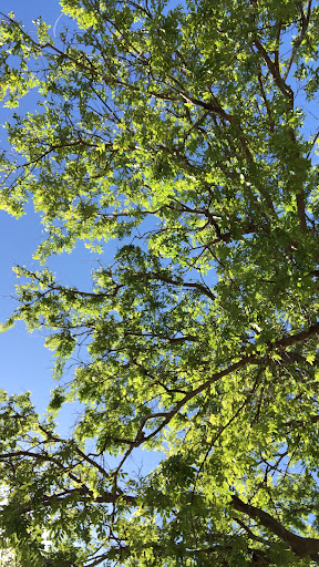 Sunrise Park 20250726 174951 016