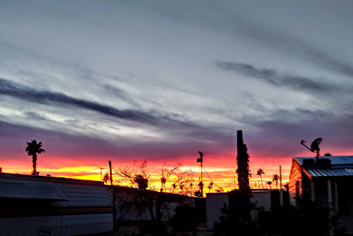 Sunset Resort MHP 20250726 200857 005