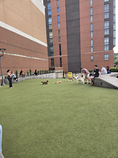 Swampoodle Dog Park Playground 20250727 101701 007