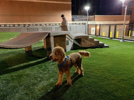 Swampoodle Dog Park Playground 20250727 101704 009