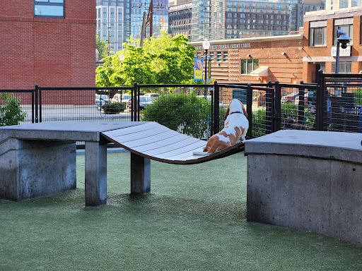 Swampoodle Dog Park Playground 20250727 101706 011