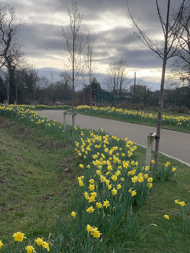 Tandy s Lane Park Playground 20250819 224158 001