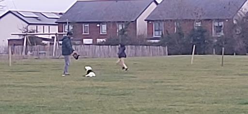 Tandy s Lane Park Playground 20250819 224200 003