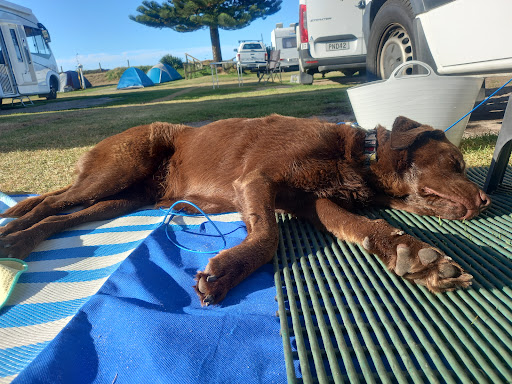 Tasman Holiday Parks Papamoa Beach 20250818 163743 016