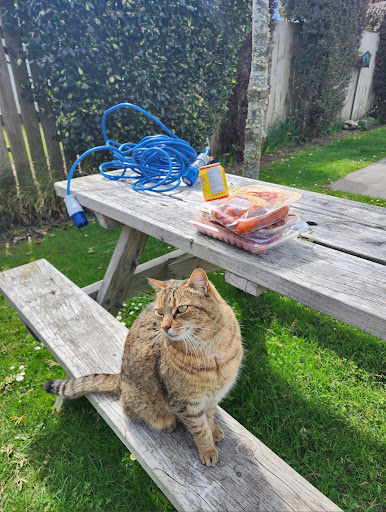 Tasman Holiday Parks Te Anau 20250818 172906 004