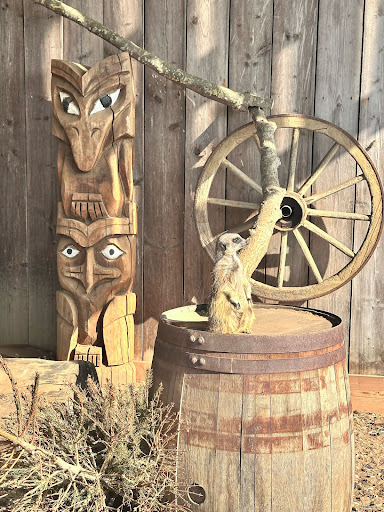 Tattershall Farm Park 20250808 165851 003