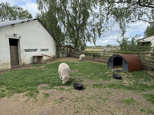 Tattershall Farm Park 20250808 165857 010