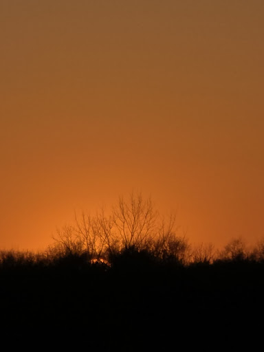 Terry Trueblood Recreation Area 20250727 044609 002