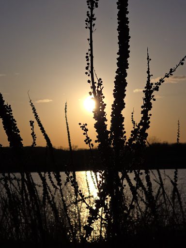 Terry Trueblood Recreation Area 20250727 044611 004