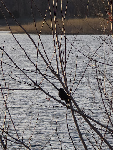 Terry Trueblood Recreation Area 20250727 044612 005