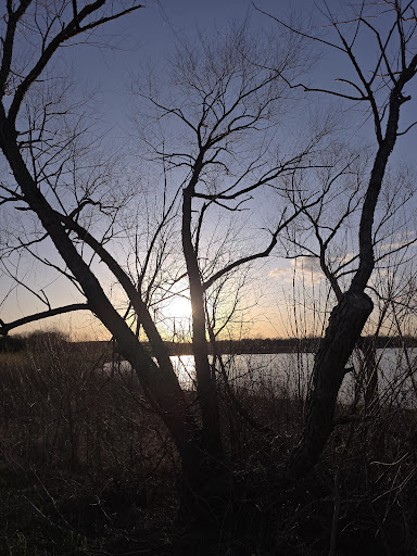 Terry Trueblood Recreation Area 20250727 044613 007