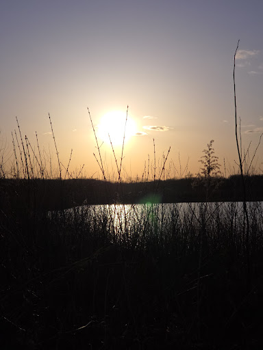 Terry Trueblood Recreation Area 20250727 044614 008