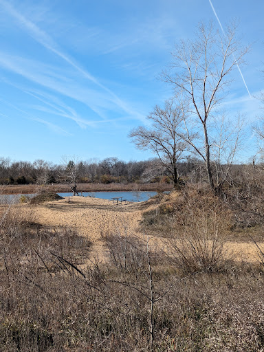 Terry Trueblood Recreation Area 20250727 044618 013