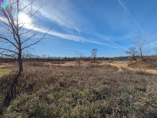 Terry Trueblood Recreation Area 20250727 044619 014