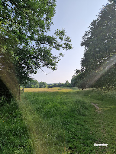 Teston Bridge Country Park 20250808 192813 002