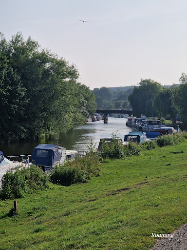 Teston Bridge Country Park 20250808 192815 004