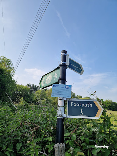 Teston Bridge Country Park 20250808 192816 005