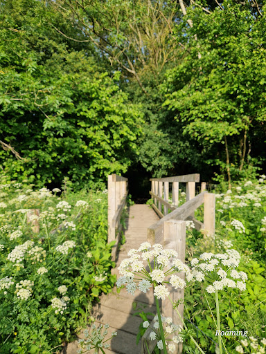 Teston Bridge Country Park 20250808 192818 008