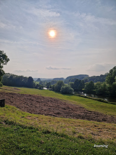 Teston Bridge Country Park 20250808 192822 012