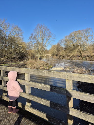 Teston Bridge Country Park 20250808 192825 016