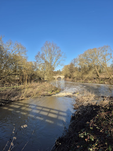 Teston Bridge Country Park 20250808 192826 017