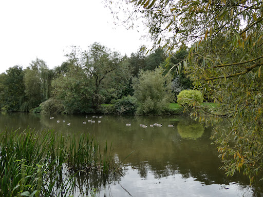 Teston Bridge Country Park 20250808 192827 018