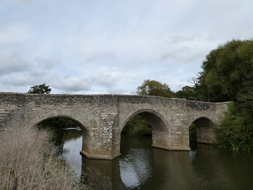 Teston Bridge Country Park 20250808 192827 019