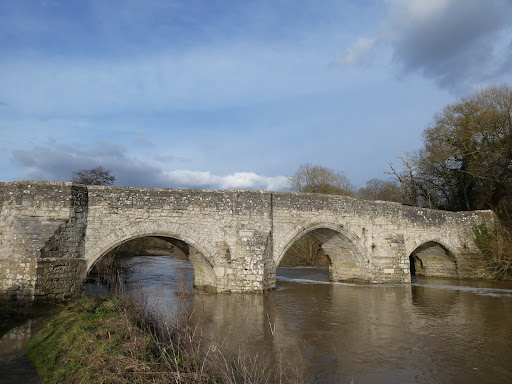 Teston Bridge Country Park 20250808 192828 020