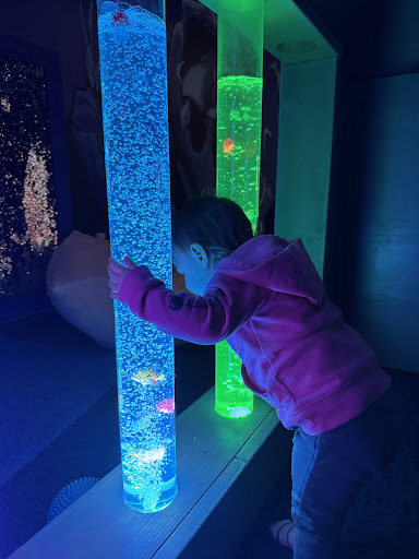 The Adventure Zone 20250727 074715 002