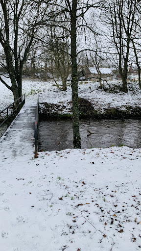 The Den 20250808 145047 001