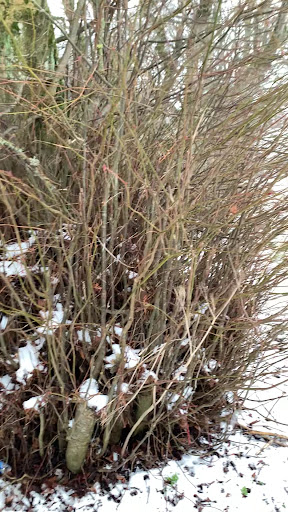 The Den 20250808 145049 003