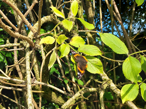 The Farm Park is Open 10am to 5pm  Breakfast served 9am to 12noon  Lunch served 12 30pm to 4pm in The Haystack Restaurant 20250819 230615 017