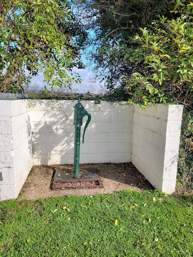 The Farm Park is Open 10am to 5pm  Breakfast served 9am to 12noon  Lunch served 12 30pm to 4pm in The Haystack Restaurant 20250819 230617 019