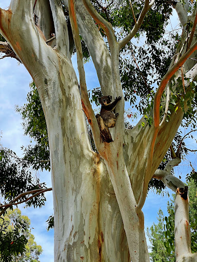 The Labyrinth Woodhouse Adventure Park 20250824 013301 004