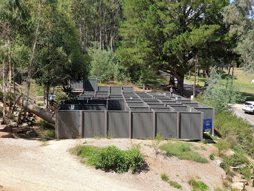 The Labyrinth Woodhouse Adventure Park 20250824 013302 005