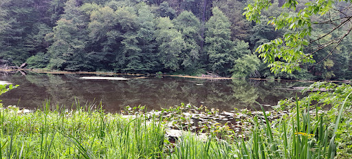 The Loop Playground 20250727 035645 004