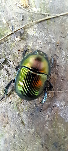 The Loop Playground 20250727 035647 007