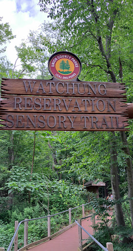 The Loop Playground 20250727 035648 008