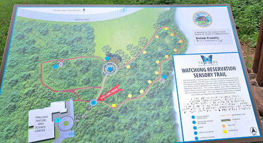 The Loop Playground 20250727 035648 009