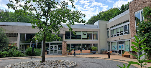 The Loop Playground 20250727 035649 010