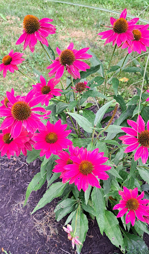 The Loop Playground 20250727 035650 011