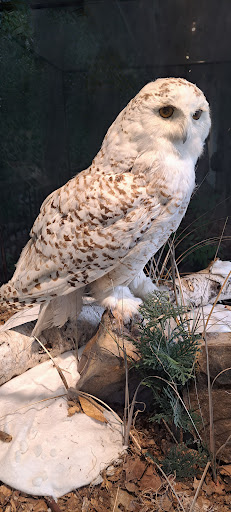 The Loop Playground 20250727 035652 013