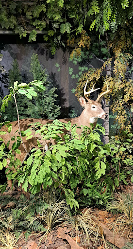 The Loop Playground 20250727 035653 015